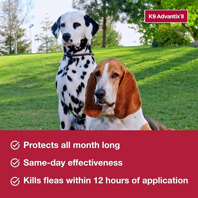 K9 Advantix II Medium Dog Vet-Recommended Flea, Tick & Mosquito Treatment & Prevention | Dogs 11-20 lbs. | 1-Mo Supply (Pack of 3)