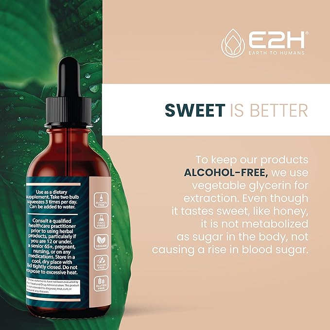 E2H Reishi Mushroom Extract - All-Natural Energy, Vitality and General Wellness Support from Advanced Mushroom Supplement - Reishi Mushrooms Supplement - Non-GMO, Vegan (3 Bottles)
