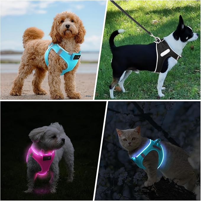 PceoTllar Light Up Dog Harness, LED No Pull Reflective Dog Harness, Flashing Lighted for Night Walking - Small/Medium, (Blue S)