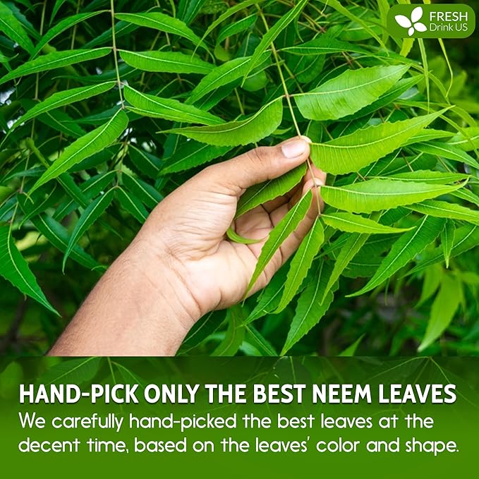 FreshDrinkUS, Premium 2oz Neem Leaf Powder, 100% Natural and Pure from Neem Leaves Dried, for Hair and Skin, No Additives, No Gluten, No Sugar, Vegan