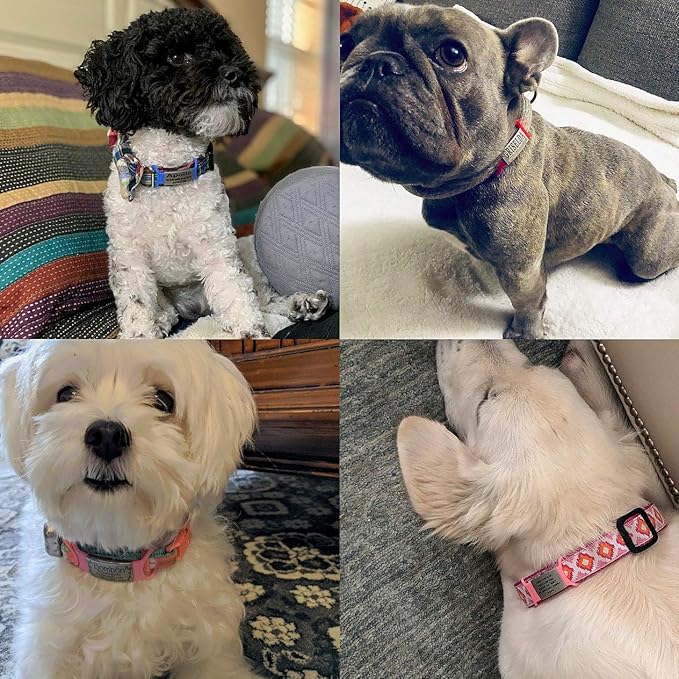 Personalized Dog Name Tag - No Noise - Engraved - Slide On Cat ID - Custom Collar Tags for Small, Medium, Large Dogs and Cats - Silent Puppy Identification
