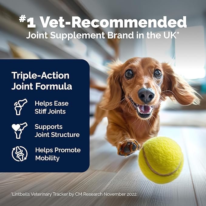 Dog Joint Supplement, Hip and Joint Supplement for Dogs with Glucosamine, Hyaluronic Acid, and Green Lipped Mussel and Omegas, Relief for Dog Hip and Joint Aches and Stiffness, by YuMOVE - 300 Bites