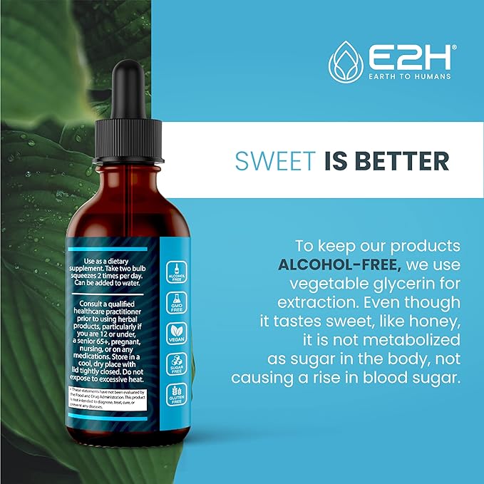 E2H Liver Support Supplement with Milk Thistle - Liver Health Formula - Artichoke Extract, Dandelion Root, Chanca Piedra, and More - Absorbent Liquid Formula (2 Bottles)