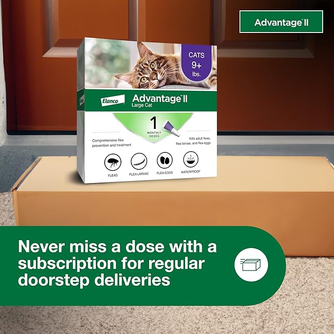 Advantage II Large Cat Vet-Recommended Flea Treatment & Prevention | Cats Over 9 lbs. | 1-Month Supply