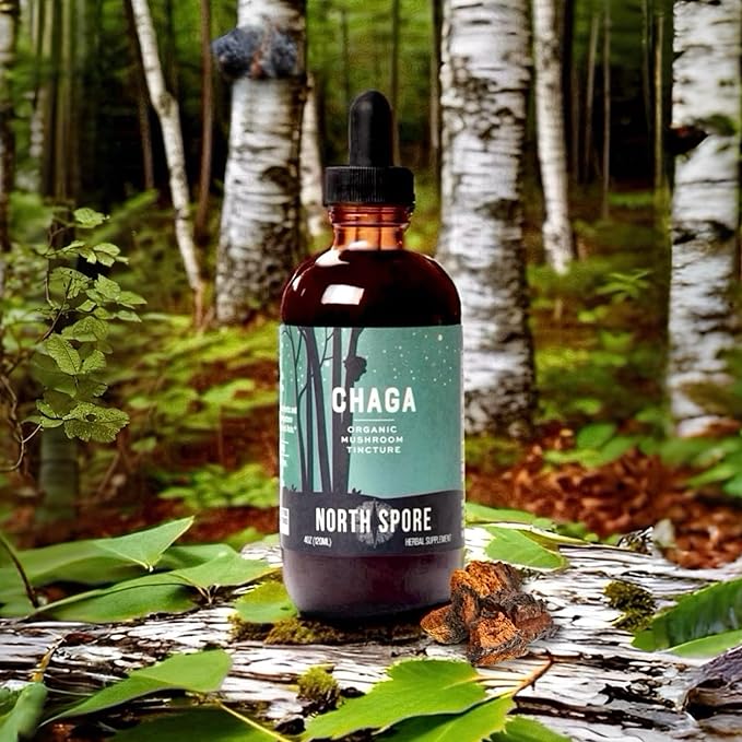 North Spore Organic Chaga Mushroom Tincture (4 oz) | 100% Fruiting Body Extracts | Immune Support, Energy, and Balance | Certified Organic, Vegan, Non-GMO | Adaptogenic, Nootropic | Made in USA