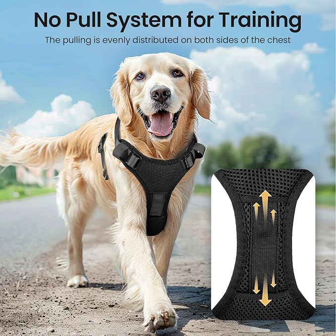 Light Up Dog Harness,Reflective Pet Harness Rechargeable,Led Dog Vest Harness for Night Walking,Adjustable Dog Safety Vest for Small Medium Large Dogs-No Pull,Black,M