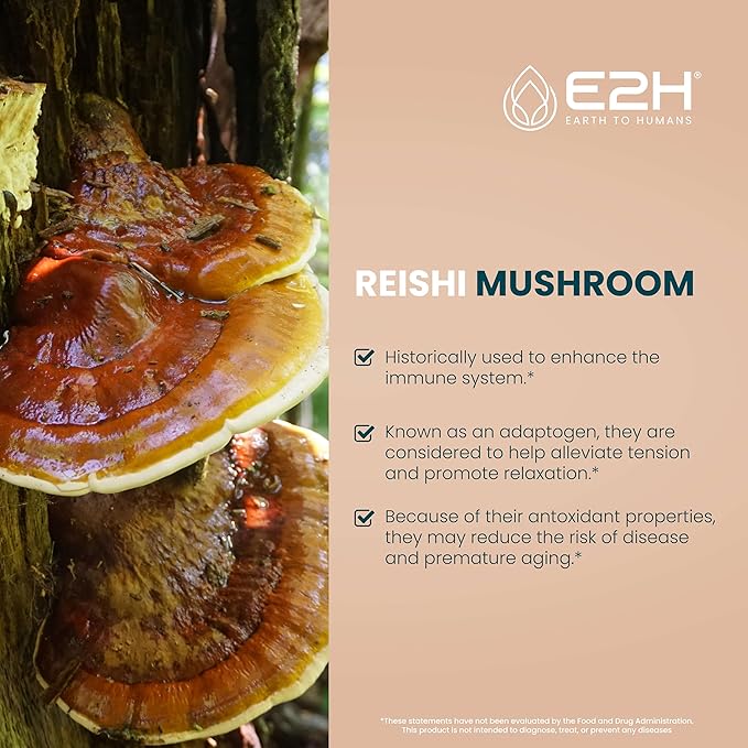 E2H Reishi Mushroom Extract - All-Natural Energy, Vitality and General Wellness Support from Advanced Mushroom Supplement - Reishi Mushrooms Supplement - Non-GMO, Vegan (3 Bottles)