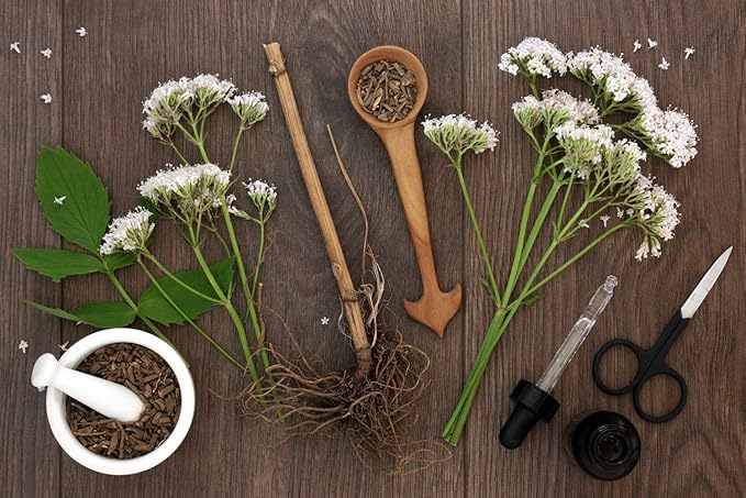 Health Embassy Valerian Root | Valeriana Officinalis L | 100% Natural (100g)