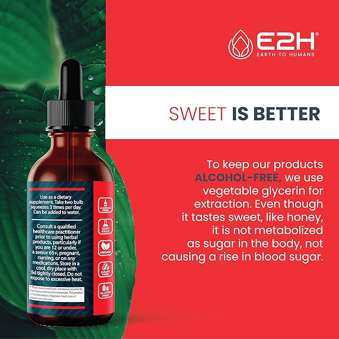 E2H Red Banded Polypore Extract - Mushroom Supplement Formula for Immune Support, Digestive Health, Energy and Natural Immunity Boost - Non-GMO, Vegan (3 Bottles)