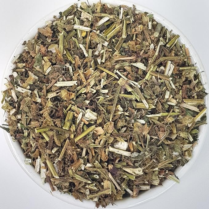 Herba Organica Hemp Nettle Herb - Galeopsis L - Herbal Tea (50g)