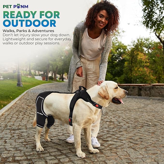 Dog ACL Knee Brace for Back Left Leg - with Integrated Harness - for Cruciate Ligament Injuries, Patellar Luxation, Post-Surgery Recovery. Durable, Breathable Material, Eases Pain - (Large)
