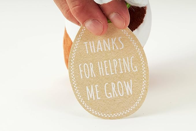 Hug Feel The Love Soil Mates – Daisy – Plush Plant Home Decor, Plush Shelf Decor, Cute Home Decor, Lil’ Seedlings Plush Toy, Thoughtful Message, 10 inches