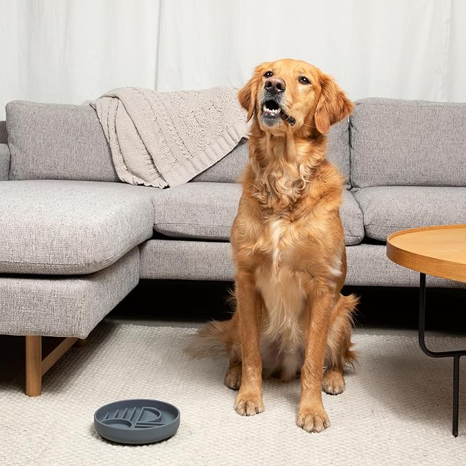 The Slowdown Bowl Silicone Slow Feeder for Dogs & Puppies, Slow Eating Modern Lick Mat Design Reduces Gulping, Fits 2 Cups 7.5” Across x 1.5” Tall, Mealtime Challenge, Medium-Blush