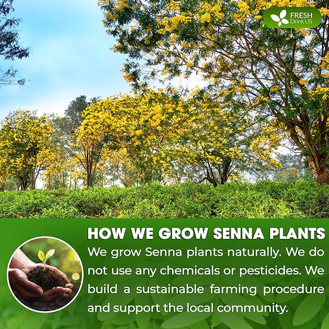 FRESHDRINKUS, Premium 16oz Senna Leaf Powder, 100% Natural and Pure from Senna Leaves, No Additives, No Gluten, No Sugar, Vegan