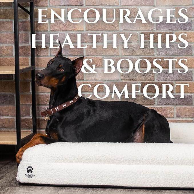 Luxury Boucle Fabric Orthopedic Large Dog Bed with Memory Foam | Breathable Comfort & Washable Dog Couch Bed with Waterproof Liner & Cover | Ideal Pet Beds for Big Dogs - Charcoal 45"x36x7