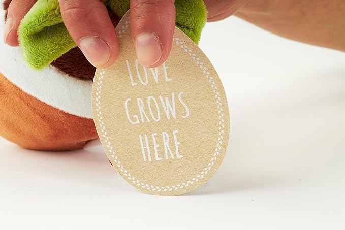 Hug Feel The Love Soil Mates – Rose – Plush Plant Home Decor, Plush Shelf Decor, Cute Home Decor, Lil’ Seedlings Plush Toy, Thoughtful Message, 9 inches