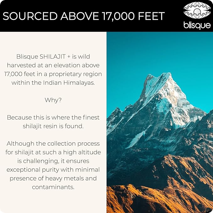 Blisque – Pure Himalayan Organic Shilajit Resin Supplement | Authentic and Natural | Golden Grade A | Contains Fulvic Acid and Trace Minerals | 30 Grams