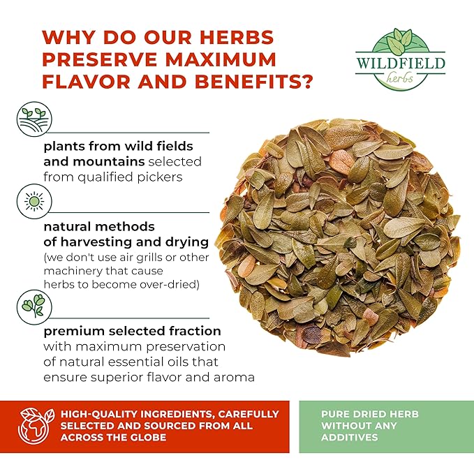 4 oz. Uva Ursi Leaf Uva Ursi Tea Herbal (Arctostaphylos Uva-Ursi) - 113g Uva-Ursi Herb Tea Arctostaphylos Uva-Ursi