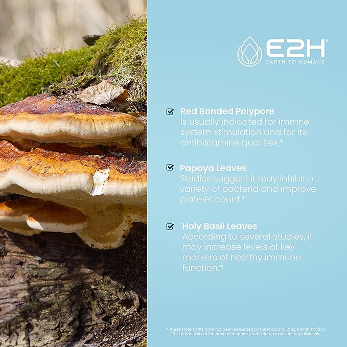 E2H Advanced Immune Defense Supplement - All-Natural Immune Booster - Immune Support Supplements Drops - Contains Holy Basil, Papaya Leaves and Red Banded Polypore - Non-GMO, Vegan - (3 Bottles)