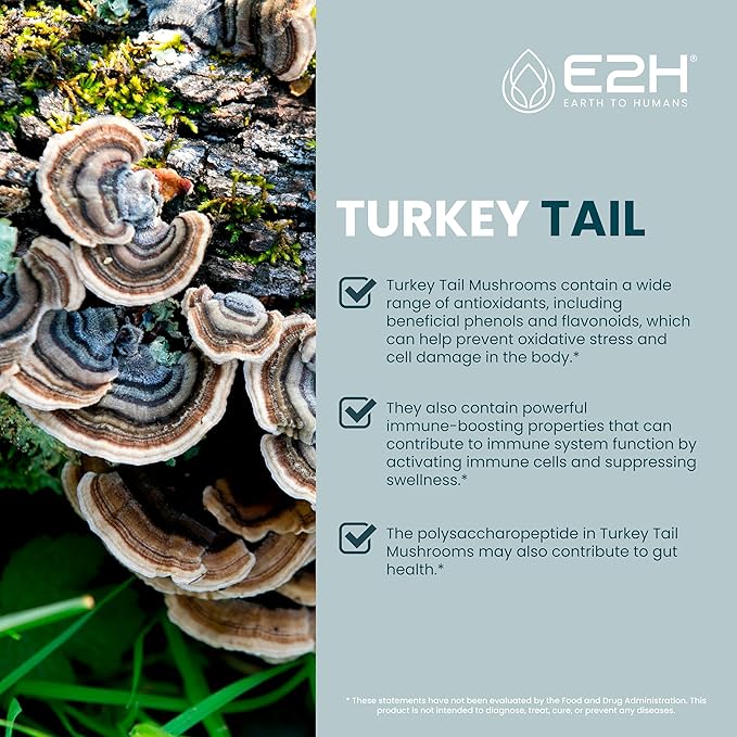 E2H Turkey Tail Mushroom Extract - All-Natural Immune System & Digestive Support from Advanced Mushroom Supplement - Turkey Tail Mushrooms Supplement - Non-GMO, Vegan (3 Bottles)