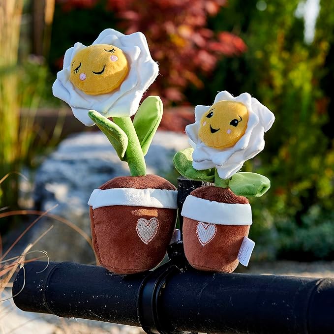 Hug Feel The Love Soil Mates – Daisy – Plush Plant Home Decor, Plush Shelf Decor, Cute Home Decor, Lil’ Seedlings Plush Toy, Thoughtful Message, 10 inches