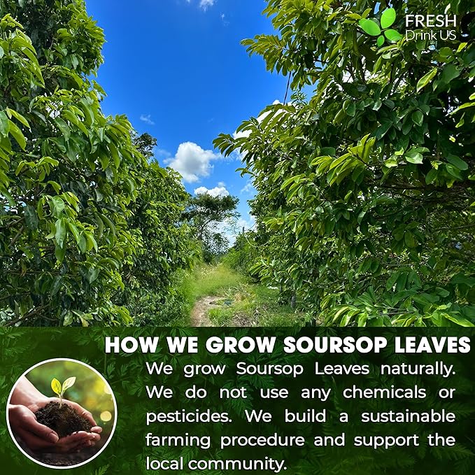 FRESHDRINKUS, Premium 10oz Soursop Leaf Powder, 100% Natural and Pure from Soursop Graviola Leaves, Soursop Leaf Tea, Hoja Guanabana, No Additives, No Gluten, No Sugar, Vegan