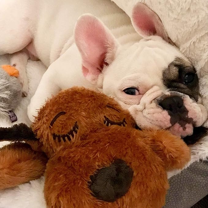 Original Snuggle Puppy Toys - Heartbeat Puppy for Dogs - Pet Anxiety Relief and Calming Aid - Comfort Dog Toys for Behavioral Training