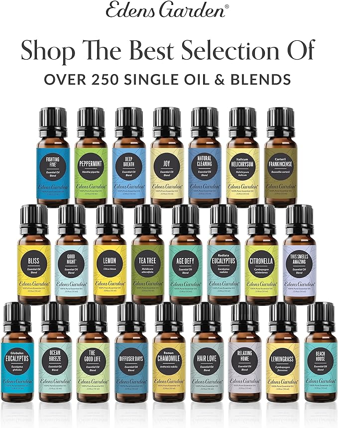 Edens Garden Essential Oils Home Aroma 6 Set – 100% Pure Therapeutic Grade, Natural & Fragrance Oil Free Aromatherapy Scents - Oil for Candle Making, Diffusers & Home Relaxation, 10 ml/ 6 Pack