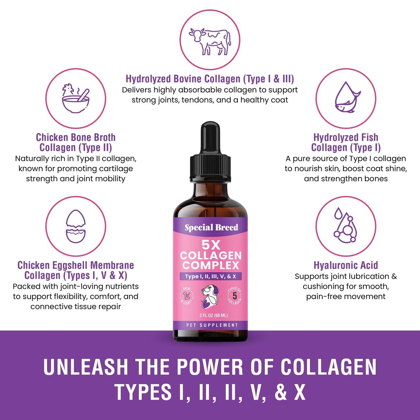 Premium Liquid Collagen For Dogs - 5x Collagen Types I, II, II, V & X - Support For Joints, Skin, Coat, Bone, Immune System & Hips - Collagen Supplement With Hyaluronic Acid - Made In USA - 2oz