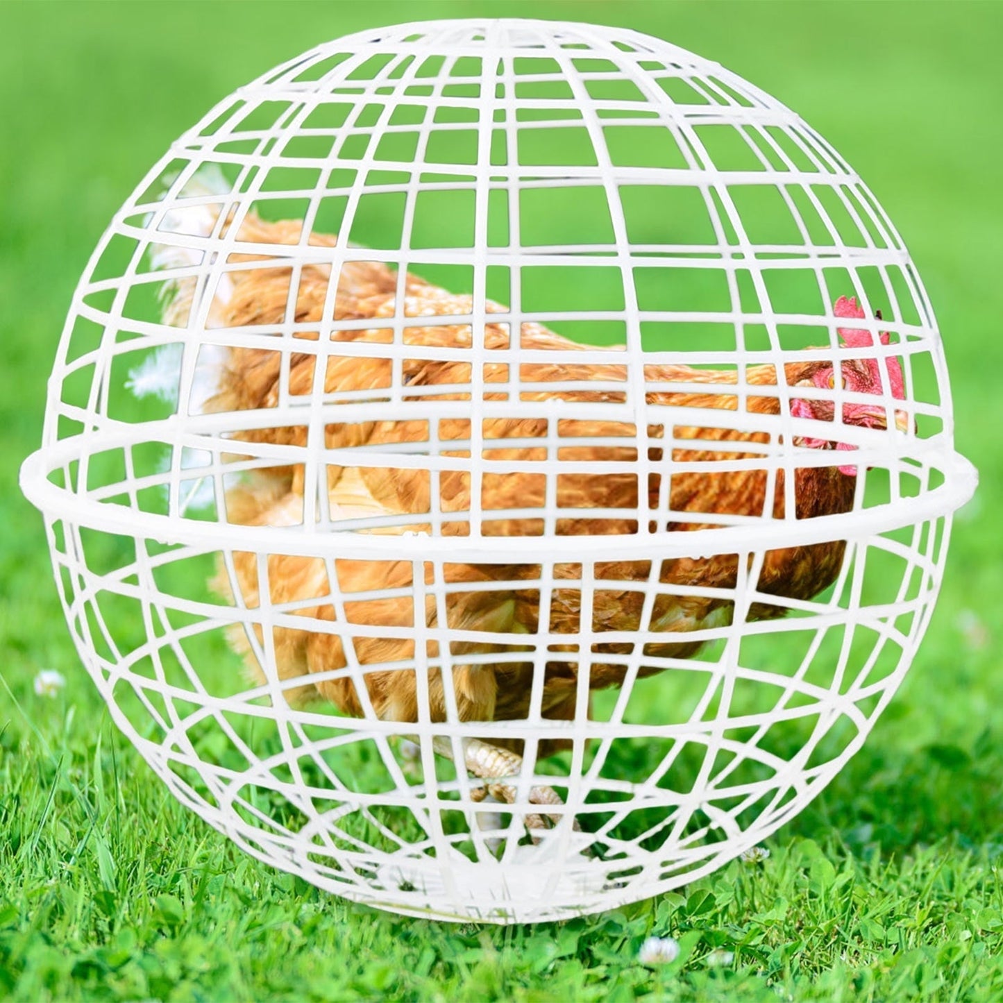Free-Range Chicken Cage | Plastic Spherical Movable Coop for Chickens Rabbits | Rolling Round Enclosure | Spacious with Perches | Predator-Proof Mesh | Easy Clean | Outdoor Use | 1 Pack