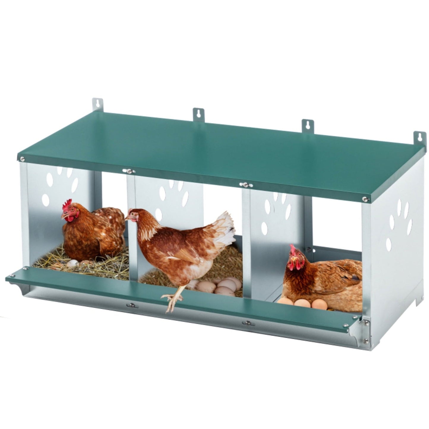 Metal Chicken Gaanized steel Nesting Boxes for Hens Easy to Assemble