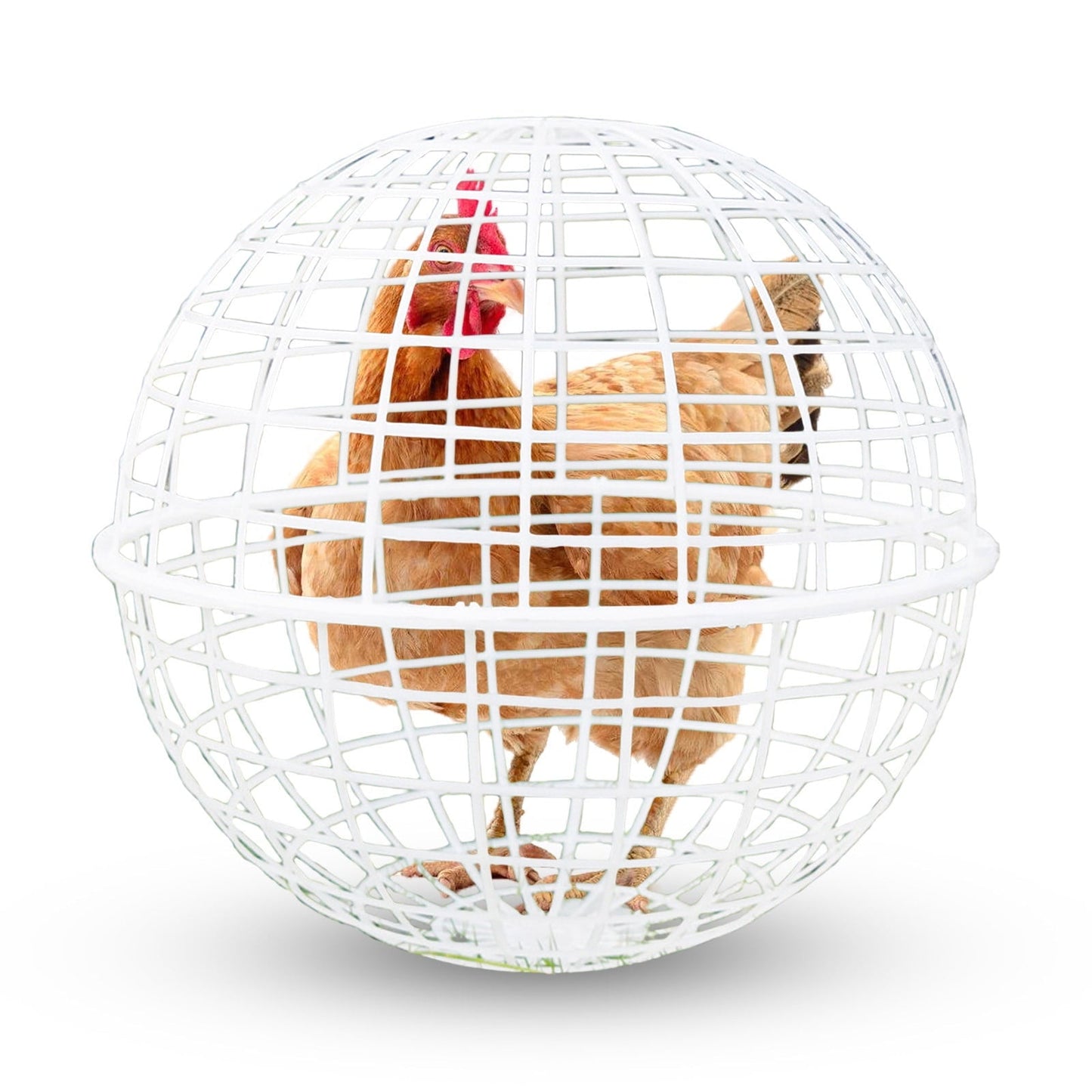 Moocorvic 12'' Pet Removable Safety Cage Chicken Coop Ball Rolling Enclosure Outdoor Farms Courtyard, for Birds Ducks Chickens