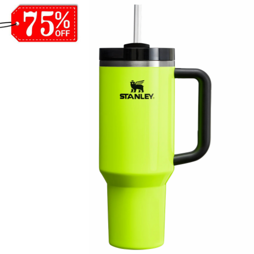 Stanley Quencher H2.0 FlowState Tumbler.