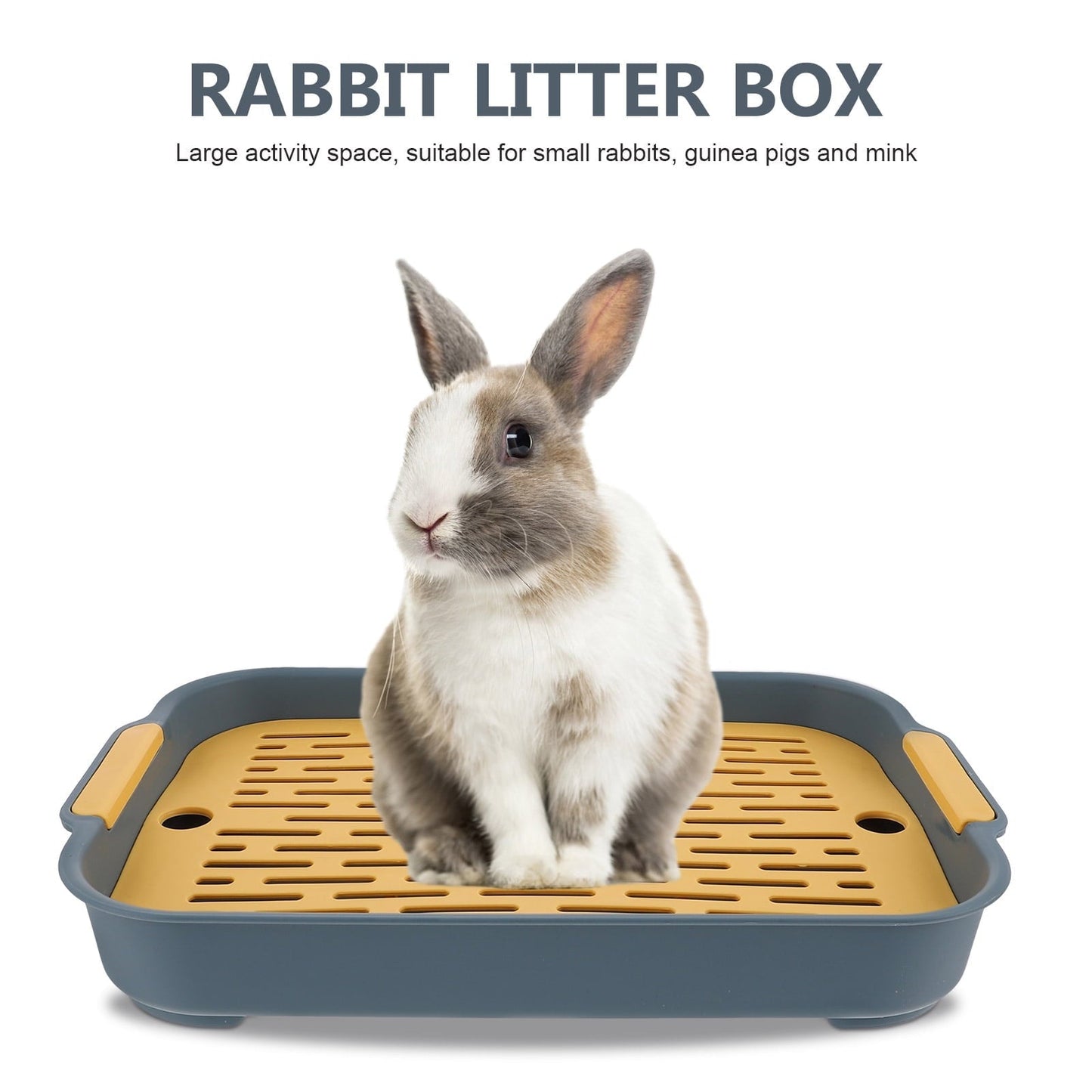 WASHWEPE Small Pet Litter Pan Hamster Toilet Navy PP 1Pack