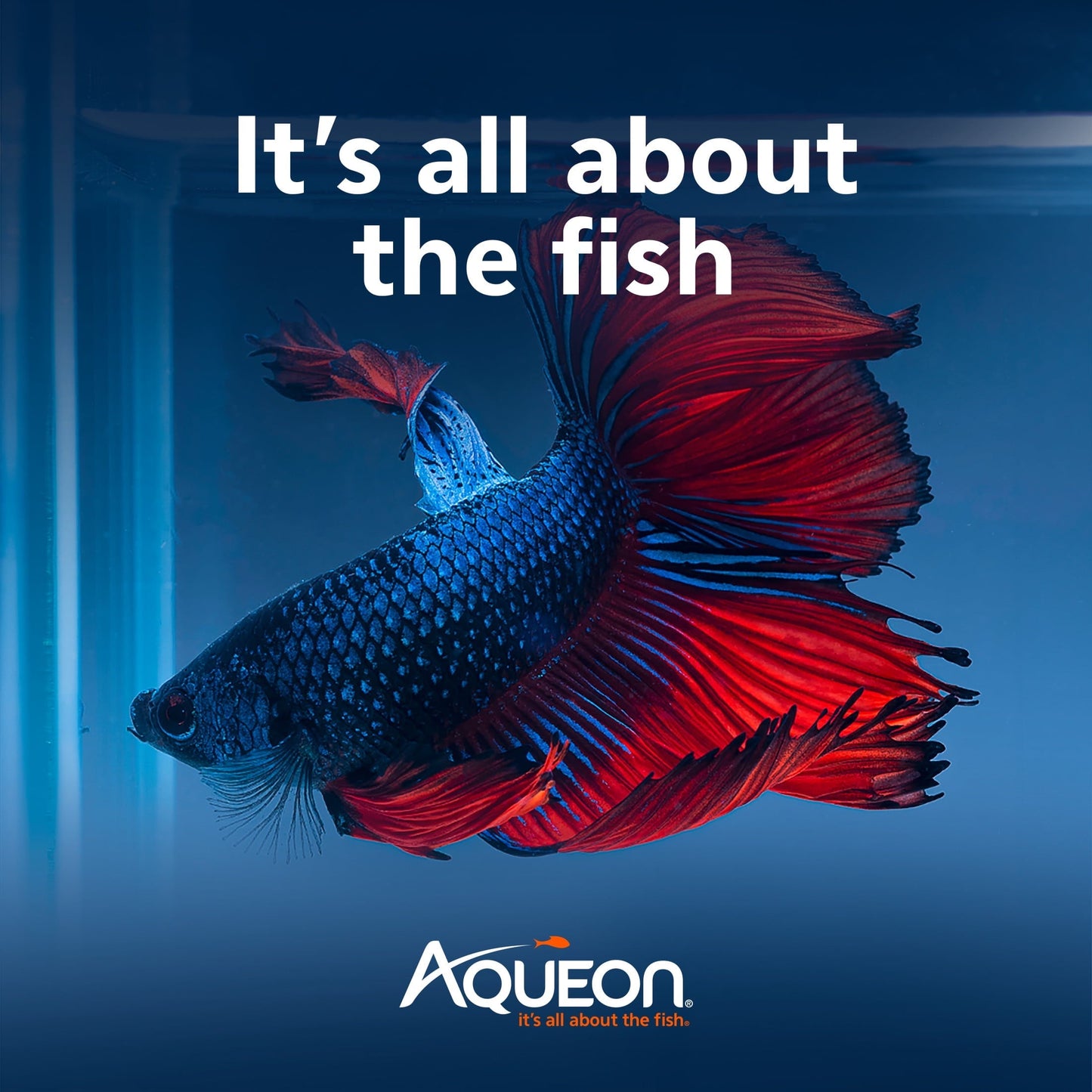 Aqueon Betta Color Pellet Food 1 Ounce