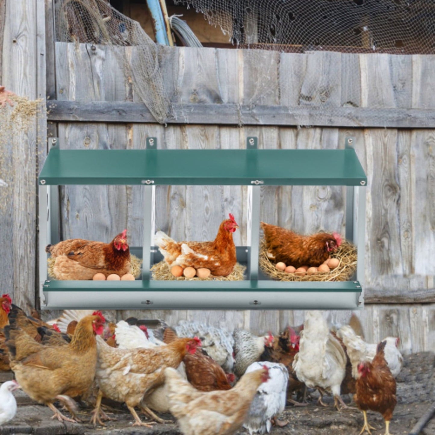 Metal Chicken Gaanized steel Nesting Boxes for Hens Easy to Assemble