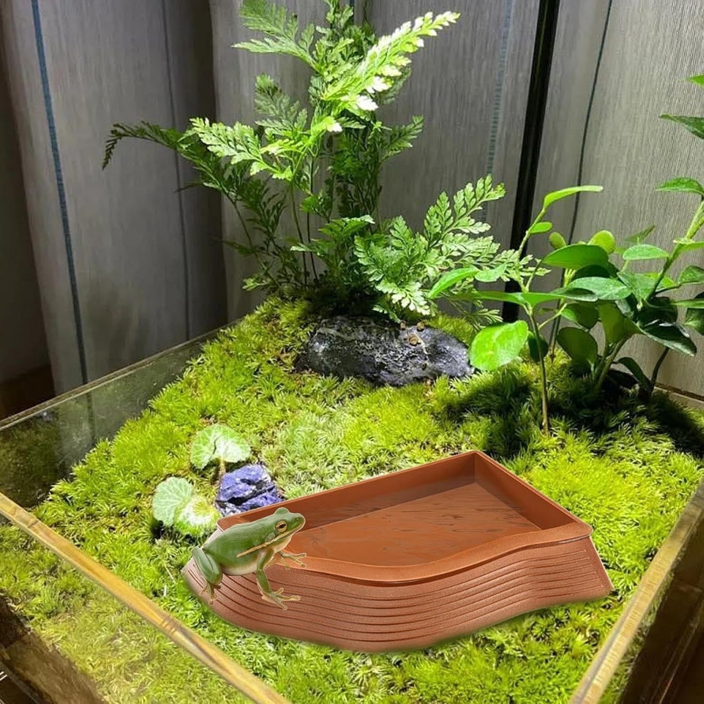 Non-Slip Turtle Pond Bowl | Multi-Purpose Reptile Water Dispenser | Durable ABS Material | Stable Right Angle Design | Removable Easy Clean Sink | For Turtles Snakes Lizards | 1 Pack
