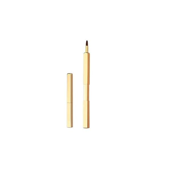 Exquisite Professional Lip Brush Applicators-Retractable Lipstick Brushes- Gloss Makeup Tool For Women and Girls (Black)