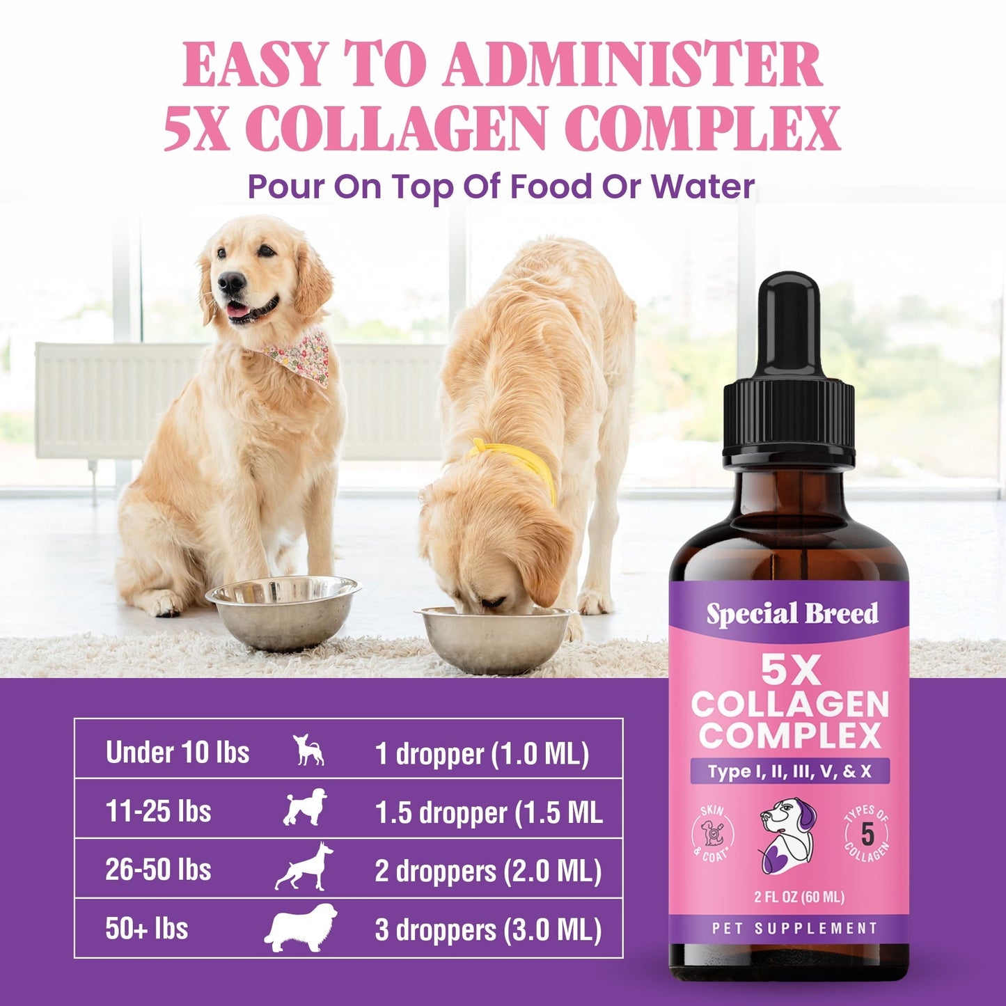 Premium Liquid Collagen For Dogs - 5x Collagen Types I, II, II, V & X - Support For Joints, Skin, Coat, Bone, Immune System & Hips - Collagen Supplement With Hyaluronic Acid - Made In USA - 2oz